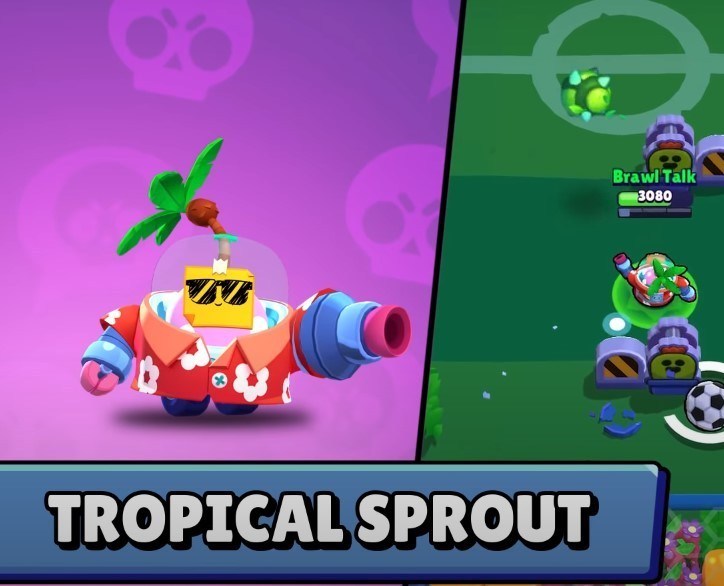 Tropical-sprout